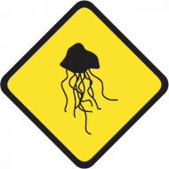 Marine Stingers